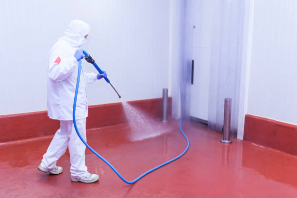Reliable Hurley, NM Pressure Washing Services Solutions